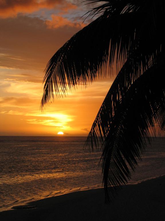 Motu Beachfront Art Villas Rarotonga Rum bild