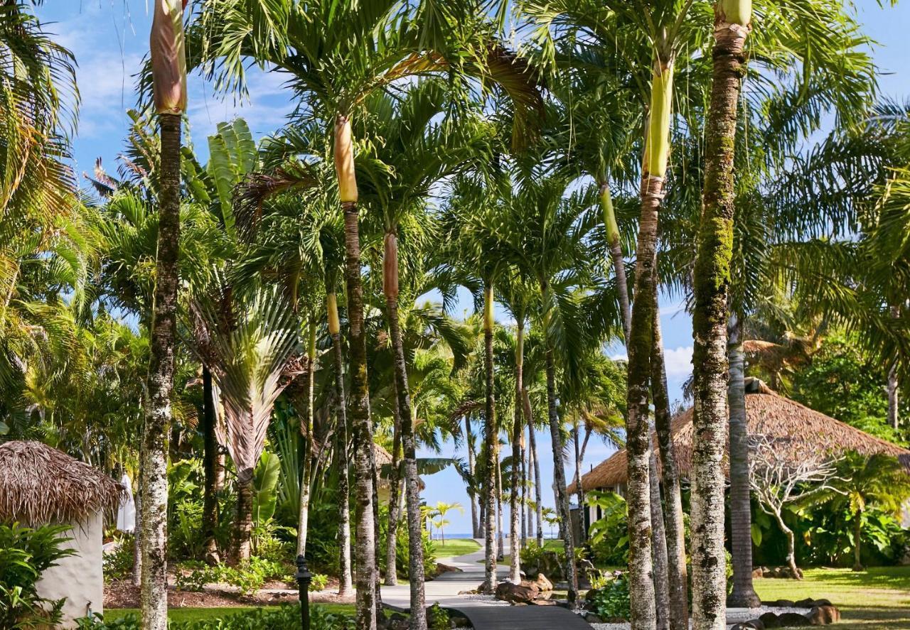 Motu Beachfront Art Villas Rarotonga Exteriör bild